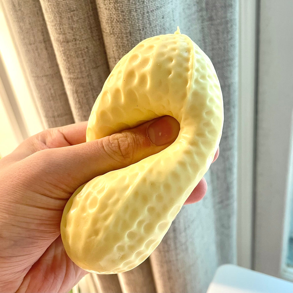 Crunchy Peanut Squishy
