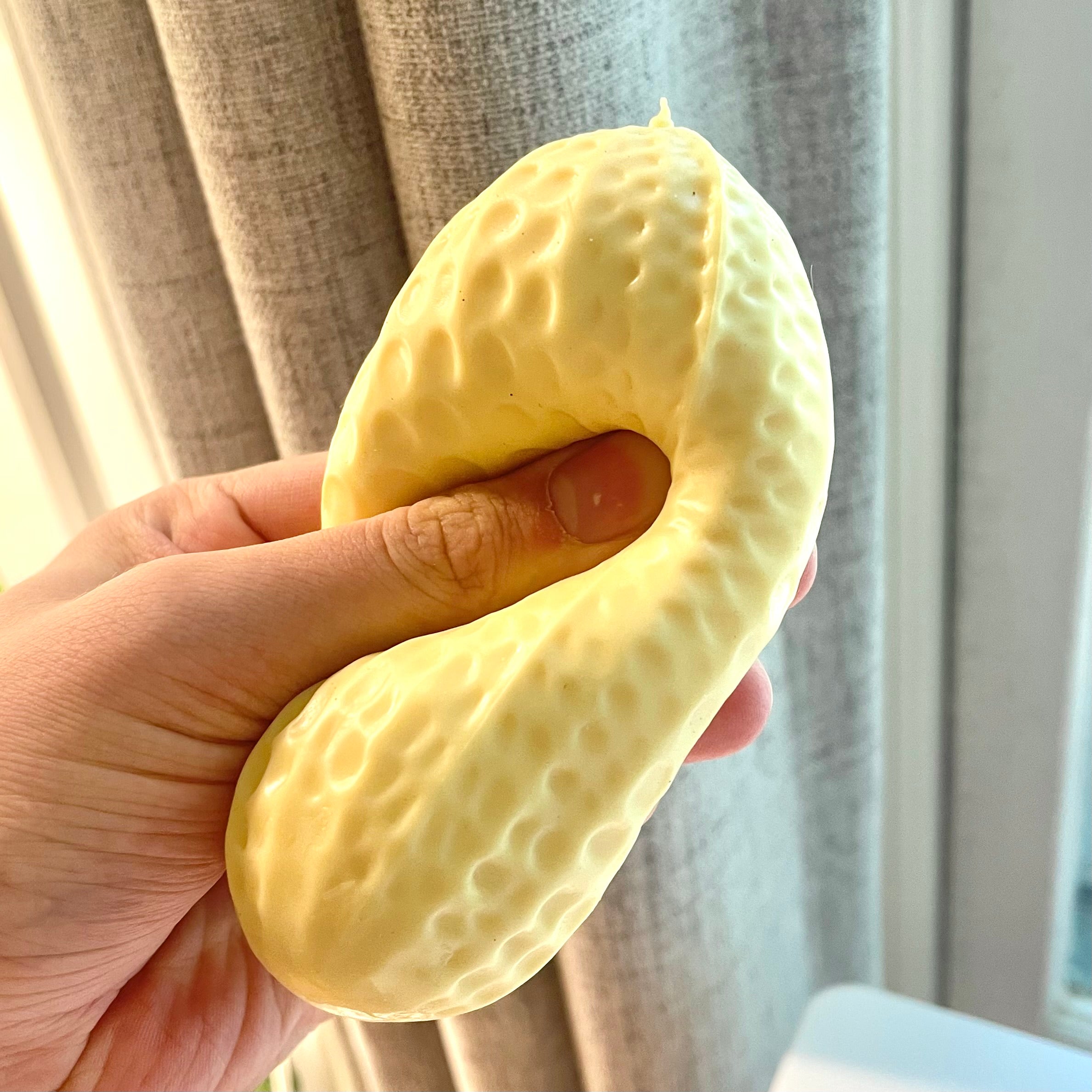 Crunchy Peanut Squishy