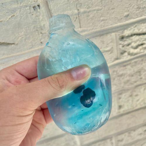 Fruit Water Bottle