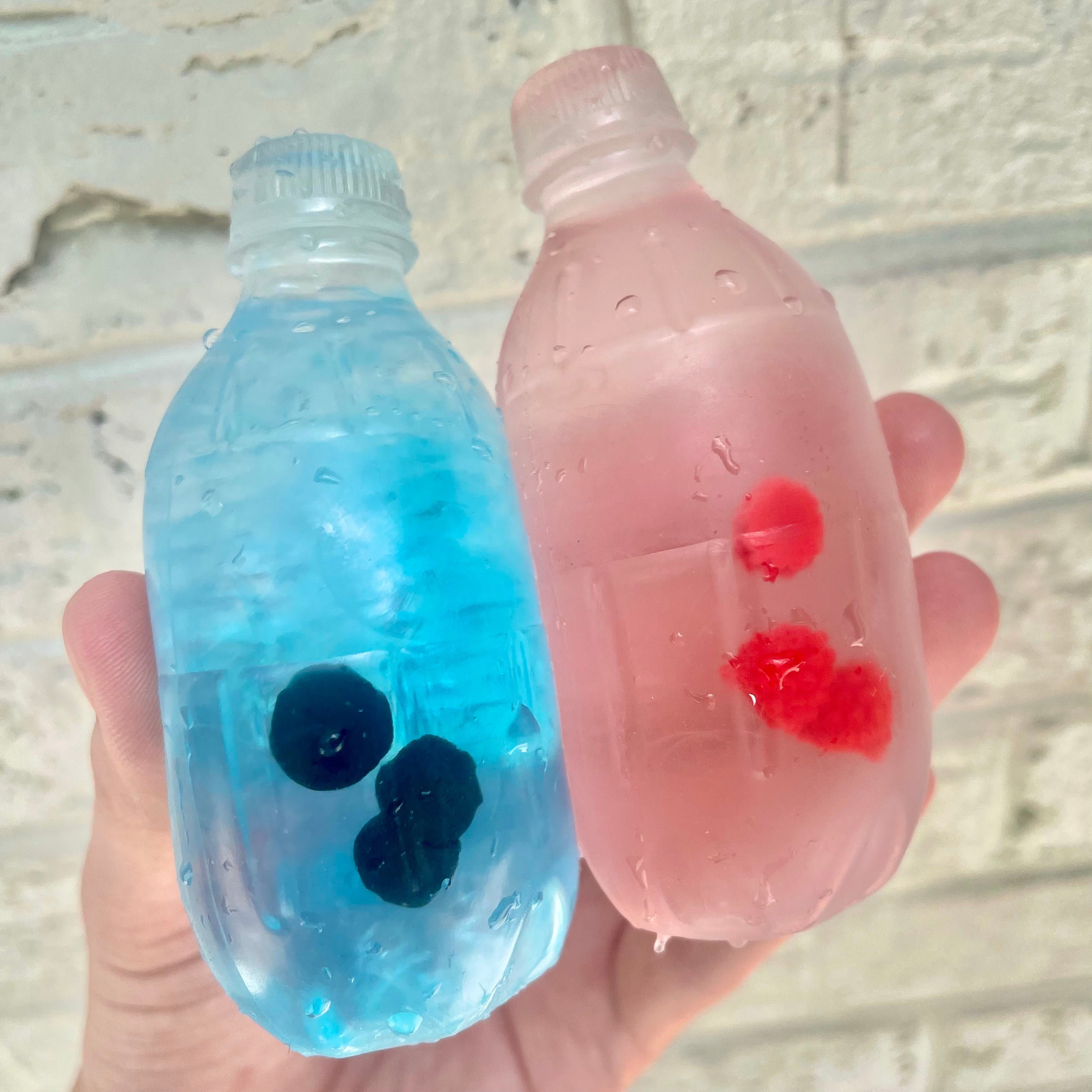 Fruit Water Bottle