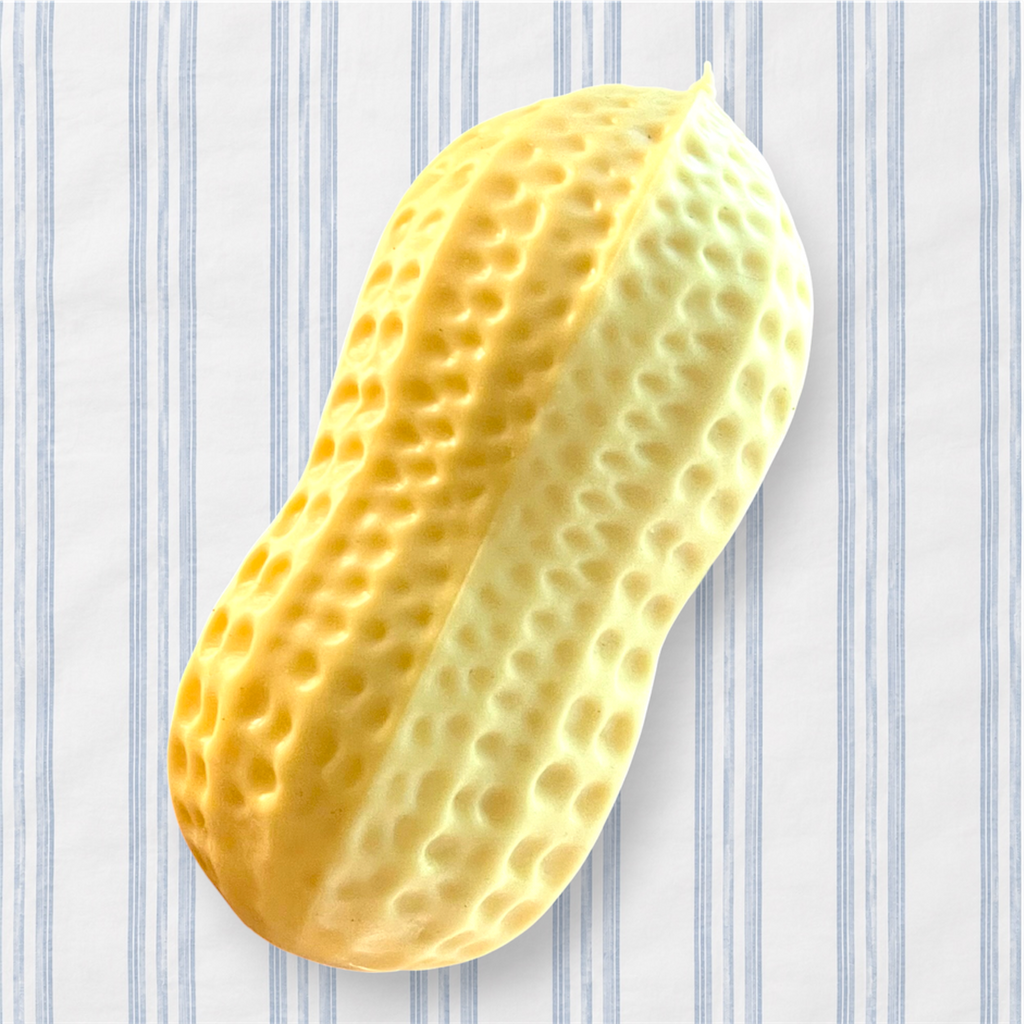 Crunchy Peanut Squishy