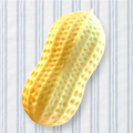 Crunchy Peanut Squishy