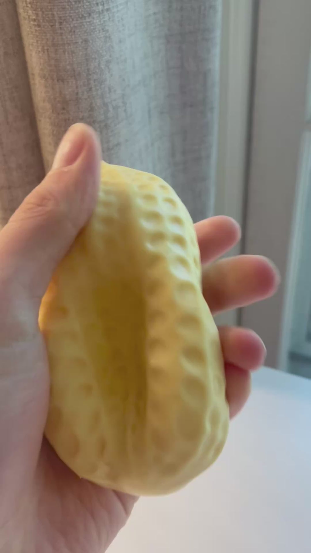 Crunchy Peanut Squishy