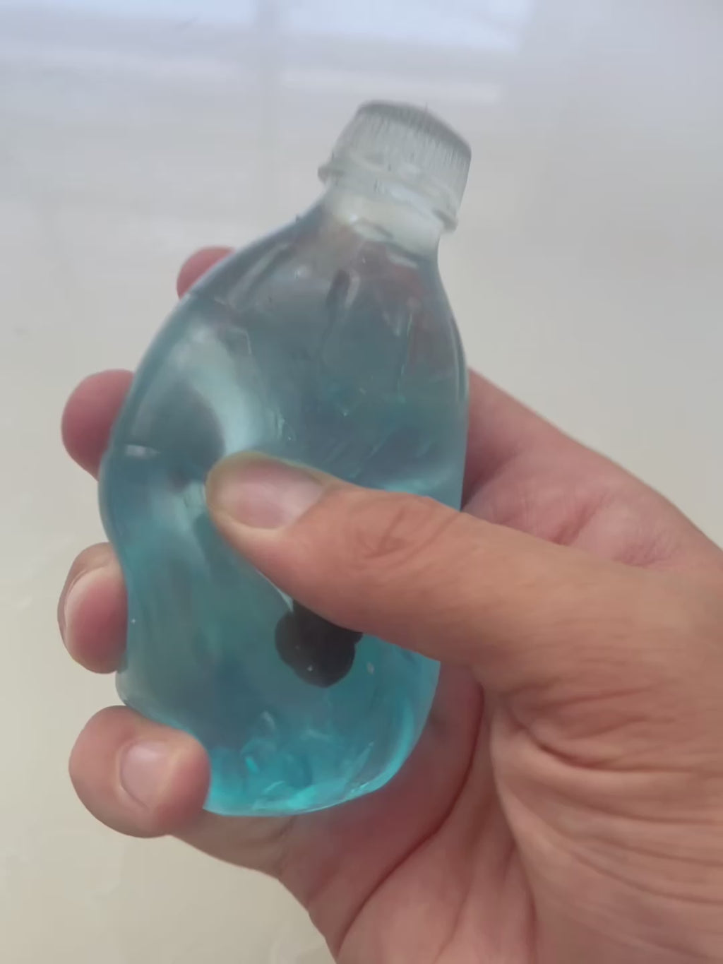 Fruit Water Bottle